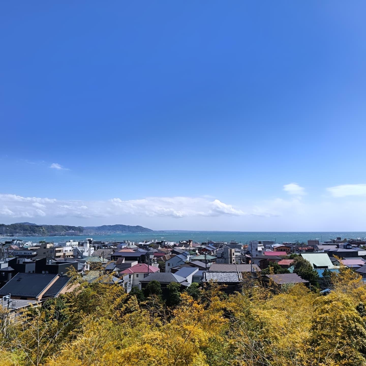 The view from the coffee shop in the Hasedera Temple in Kamakura, Kanagawa Prefecture, #Japan