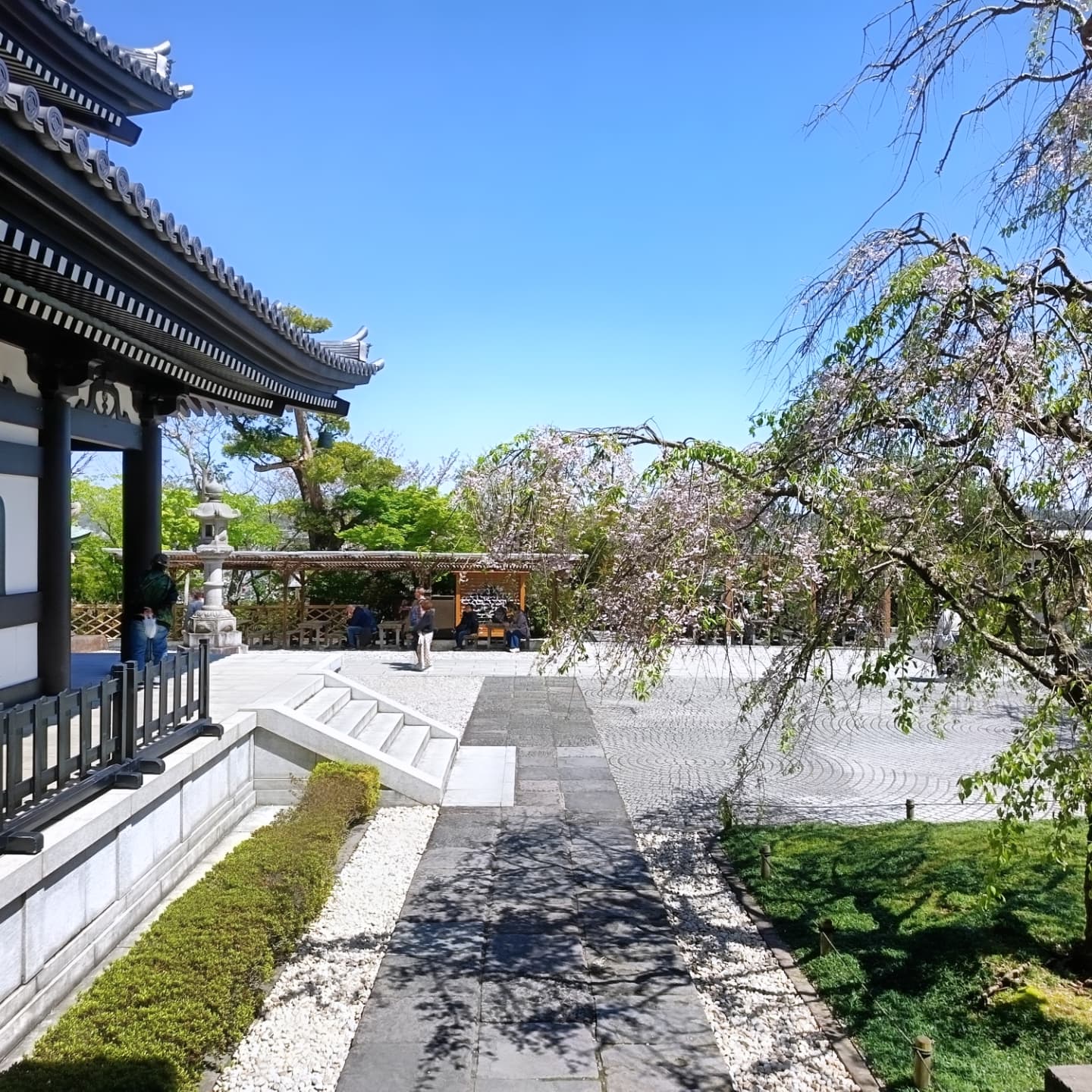 Hasedera Temple in Kamakura, Kanagawa Prefecture, #Japan