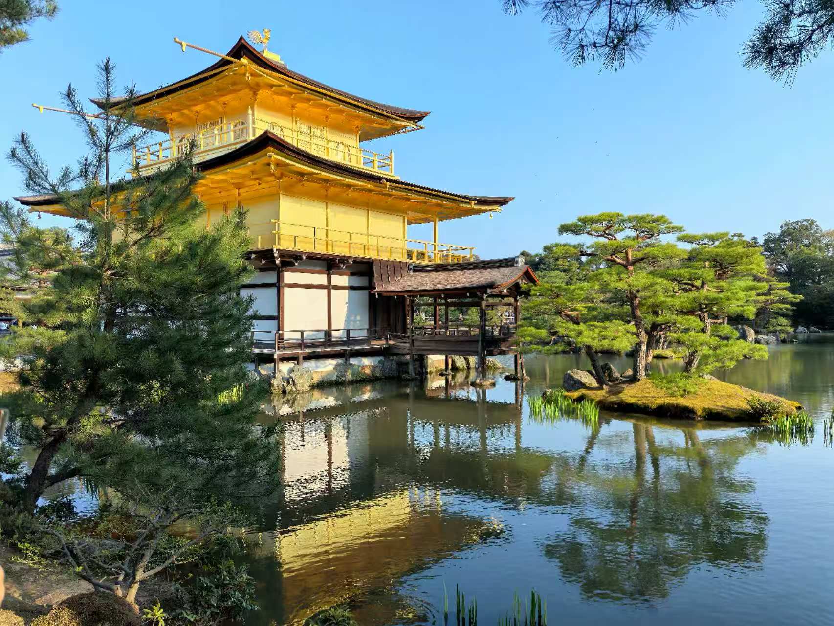 Paid a visit to the golden temple in Kyoto, Japan.
